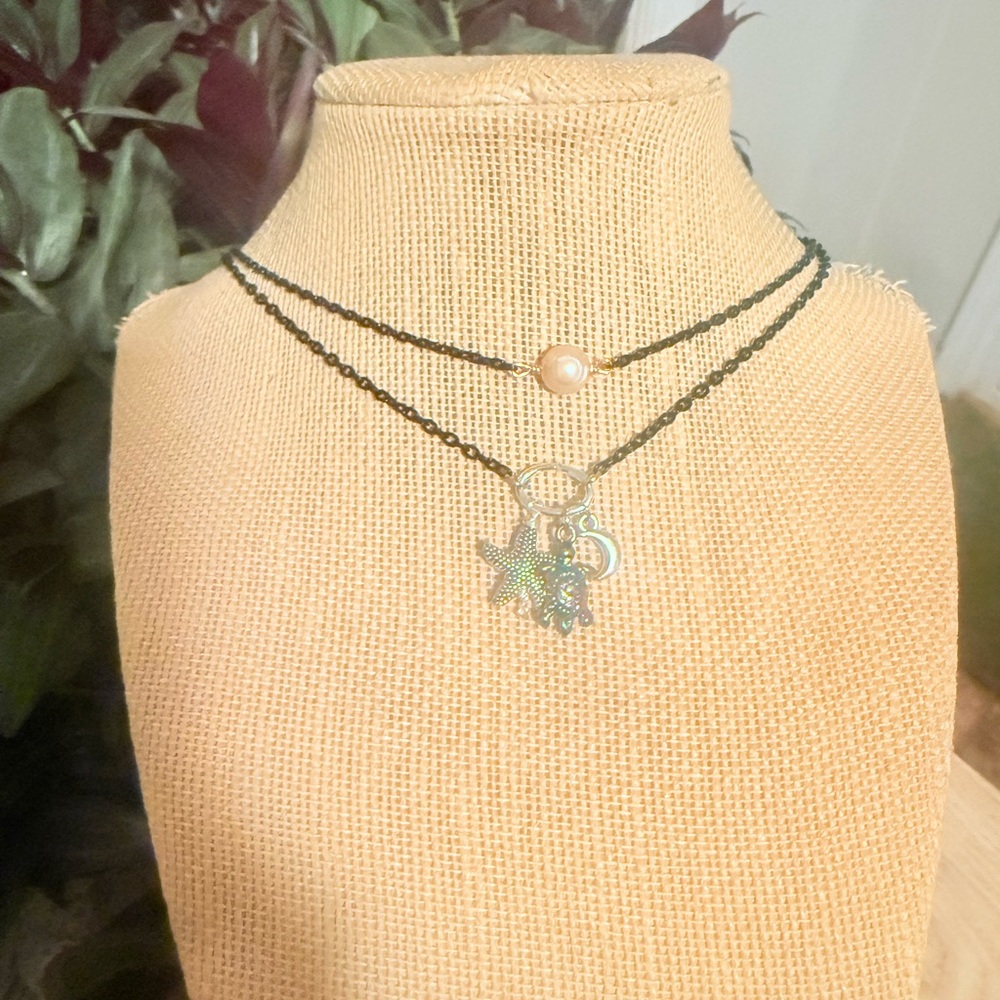 New additions in show